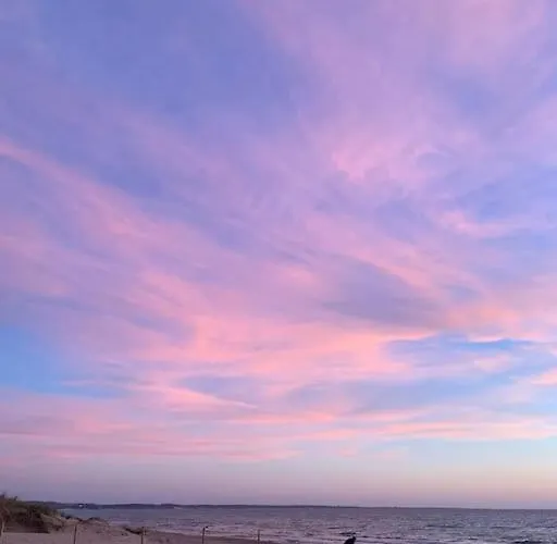Lägenhet Casetta Girasole A Due Passi Dal Mare